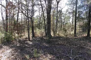 20175 S Hwy 155 Lot C1, Flint, TX 75762 - Photo 34