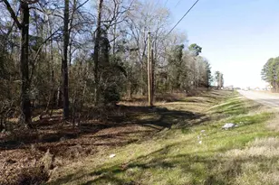 20175 S Hwy 155 Lot C1, Flint, TX 75762 - Photo 40