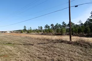 20175 S Hwy 155 Lot C1, Flint, TX 75762 - Photo 24