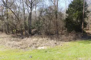 20175 S Hwy 155 Lot C1, Flint, TX 75762 - Photo 38