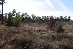 20175 S Hwy 155 Lot M, Flint, TX 75762 - Photo 28