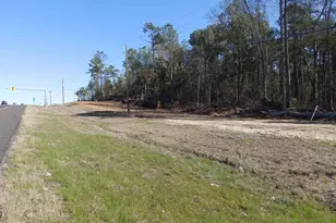 20175 S Hwy 155 Lot M, Flint, TX 75762 - Photo 20