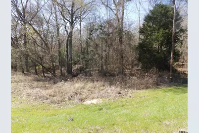 20175 S Hwy 155 Lot M, Flint, TX 75762 - Photo 38