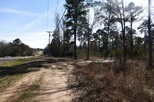 20175 S Hwy 155 Lot M, Flint, TX 75762 - Photo 30