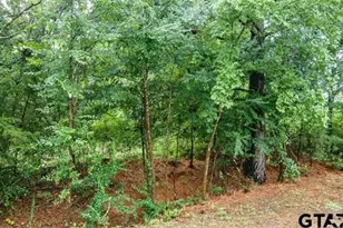 Lot 43 A Cr 3009, Frankston, TX 75763 - Photo 2