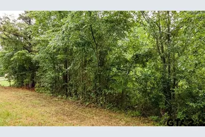 Lot 43 A Cr 3009, Frankston, TX 75763 - Photo 4