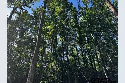 Tract C  337 Private Road 8507, Van, TX 75790 - Photo 16