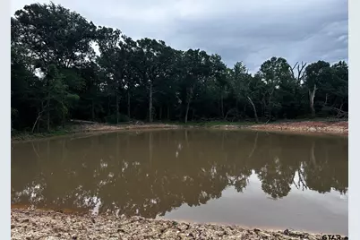 Tract C  337 Private Road 8507, Van, TX 75790 - Photo 6