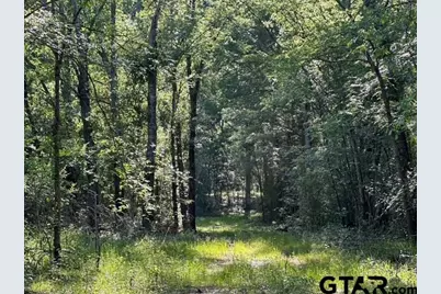 Tract C  337 Private Road 8507, Van, TX 75790 - Photo 18