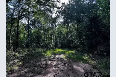 Tract C  337 Private Road 8507, Van, TX 75790 - Photo 10