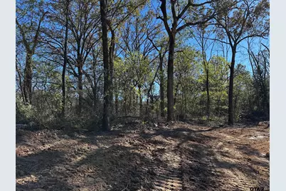 Tract  D  397 Private Road 8507, Van, TX 75790 - Photo 20