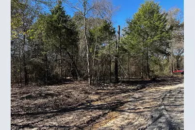 Tract  D  397 Private Road 8507, Van, TX 75790 - Photo 14