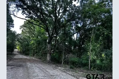 Tract  D  397 Private Road 8507, Van, TX 75790 - Photo 18