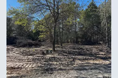 Tract  D  397 Private Road 8507, Van, TX 75790 - Photo 12