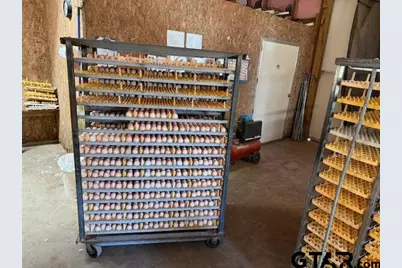 495 County Road 3160, Quitman, TX 75783 - Photo 10