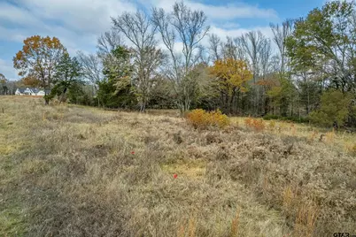 21540 Riva Ridge Dr, Tyler, TX 75704 - Photo 16