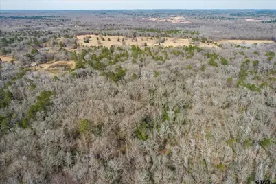 Tbd County Road 4917, Ben Wheeler, TX 75754 - Photo 4
