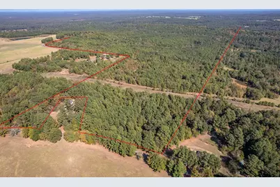 0 County Rd 356, Winona, TX 75792 - Photo 1