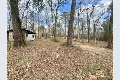 1044 Red Cedar Rd, Big Sandy, TX 75755 - Photo 8