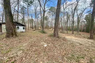 1044 Red Cedar Rd, Big Sandy, TX 75755 - Photo 8