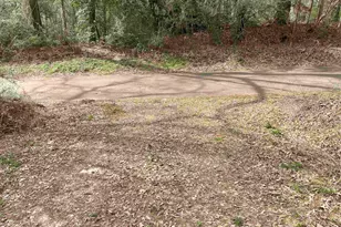 1044 Red Cedar Rd, Big Sandy, TX 75755 - Photo 14