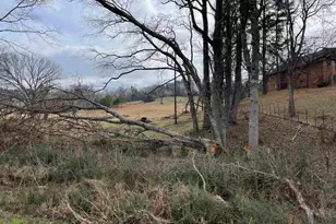 101 County Rd 3504, Bullard, TX 75757 - Photo 8