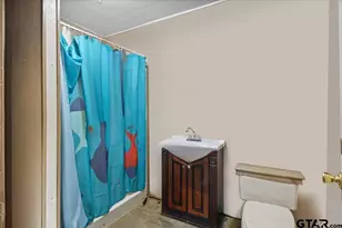 23085 County Rd 2169, Troup, TX 75789 - Photo 34