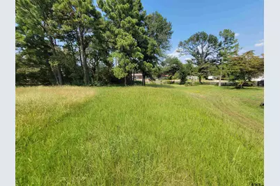 2441 Fm 315, Chandler, TX 75758 - Photo 8