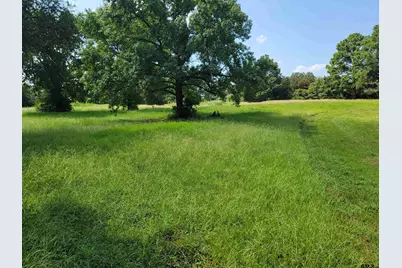 2441 Fm 315, Chandler, TX 75758 - Photo 4