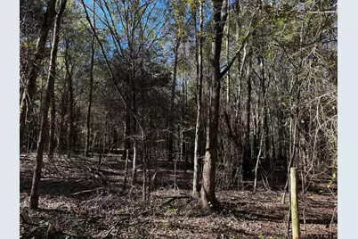 Tract J/ 500 Private Road 8507, Van, TX 75790 - Photo 8