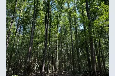 Tract J/ 500 Private Road 8507, Van, TX 75790 - Photo 1