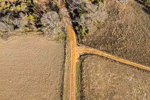 3438 Co Rd 4119, Daingerfield, TX 75638 - Photo 8