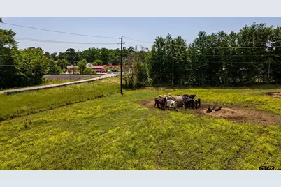 Tbd Fm 314, Brownsboro, TX 75756 - Photo 8