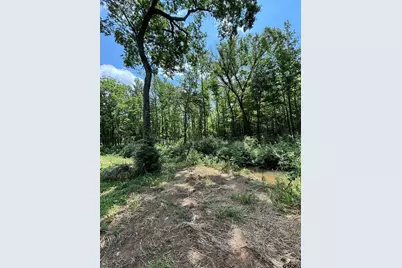 413 S Cr 3101, Jacksonville, TX 75766 - Photo 48