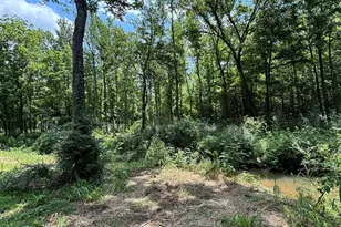 413 S Cr 3101, Jacksonville, TX 75766 - Photo 48