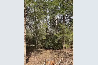 Lots 316 & 317 Brazos Bend, Holly Lake Ranch, TX 75765 - Photo 10