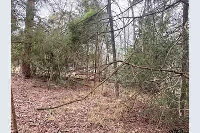 Lots 316 & 317 Brazos Bend, Holly Lake Ranch, TX 75765 - Photo 6