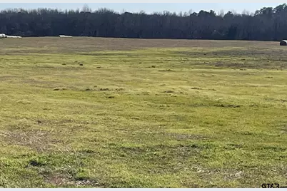 80Ac Lot2 County Road 2376, Winnsboro, TX 75494 - Photo 10