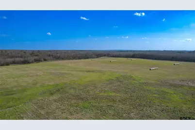 80Ac Lot2 County Road 2376, Winnsboro, TX 75494 - Photo 12