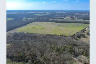 80Ac Lot2 County Road 2376, Winnsboro, TX 75494 - Photo 4
