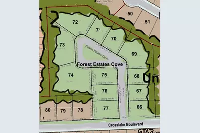 Lot 66 Forest Estates Cove, Tyler, TX 75703 - Photo 1