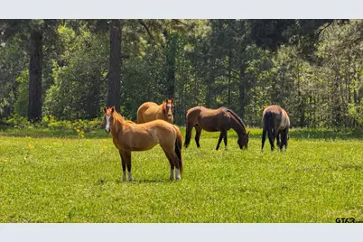 19980 Fm 449, Longview, TX 75605 - Photo 44