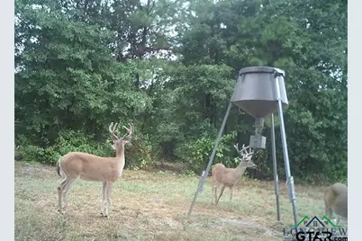 19980 Fm 449, Longview, TX 75605 - Photo 48