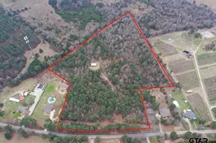 18763 Co Rd 437, Lindale, TX 75771 - Photo 6