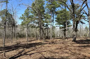 11524 & 11536 Drake's Landing, Frankston, TX 75763 - Photo 20