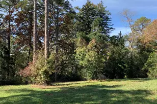 11524 & 11536 Drake's Landing, Frankston, TX 75763 - Photo 16