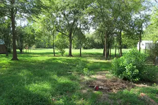 407 W Carnegie, Winnsboro, TX 75494 - Photo 14