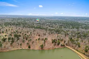 428 Cherrywood Ln, Holly Lake Ranch, TX 75765 - Photo 42