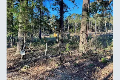 13805 Cr 291, Tyler, TX 75707 - Photo 4