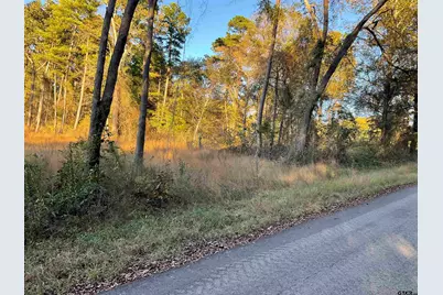 13853 Cr 291, Tyler, TX 75707 - Photo 1